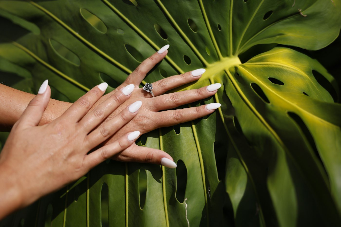 Long white nails resting on a green monstera leaf