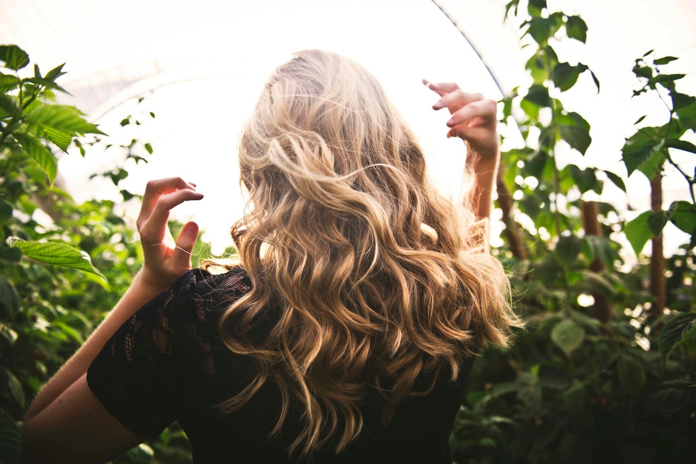 Long golden waves among greenery