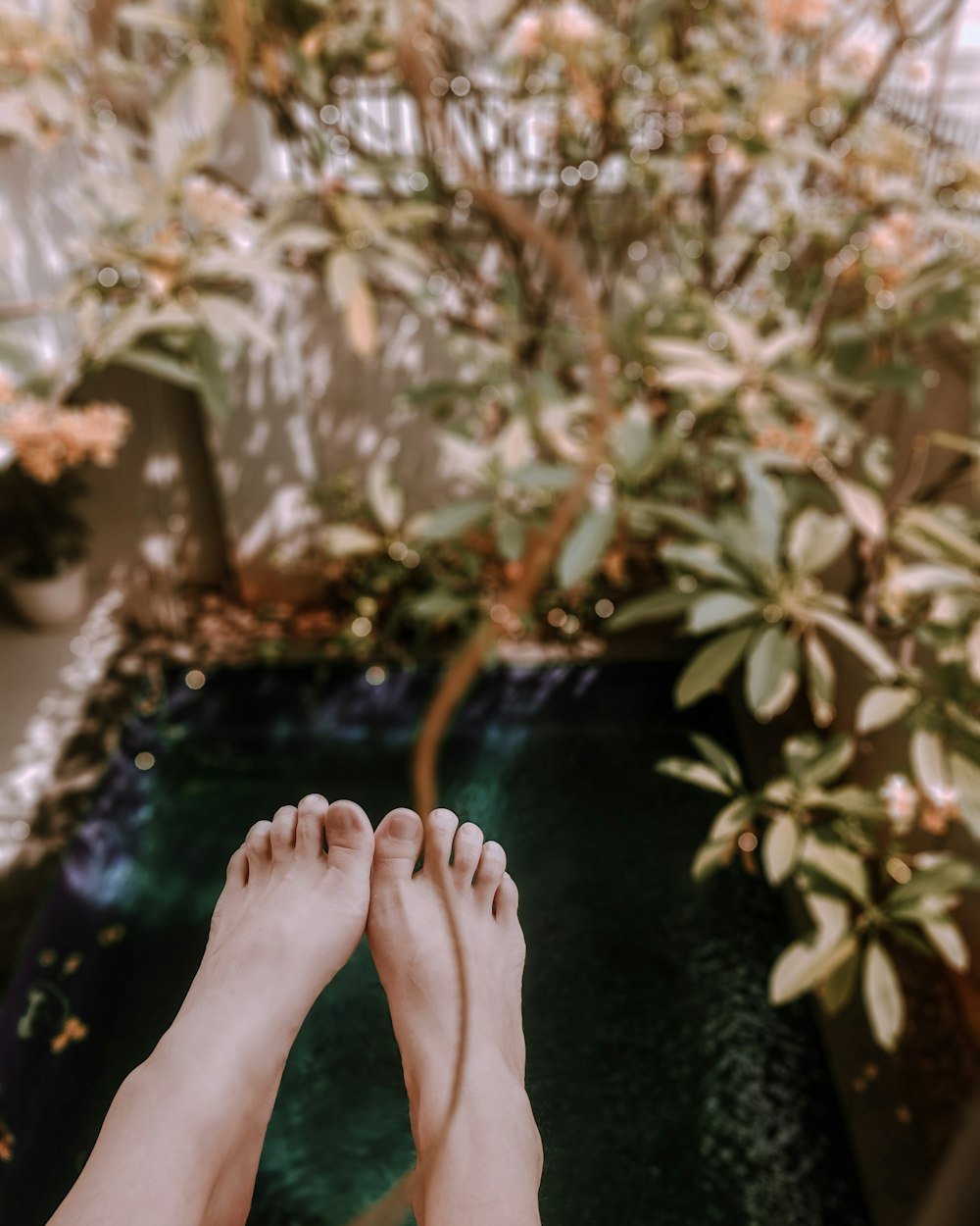 Bare feet resting among greenery