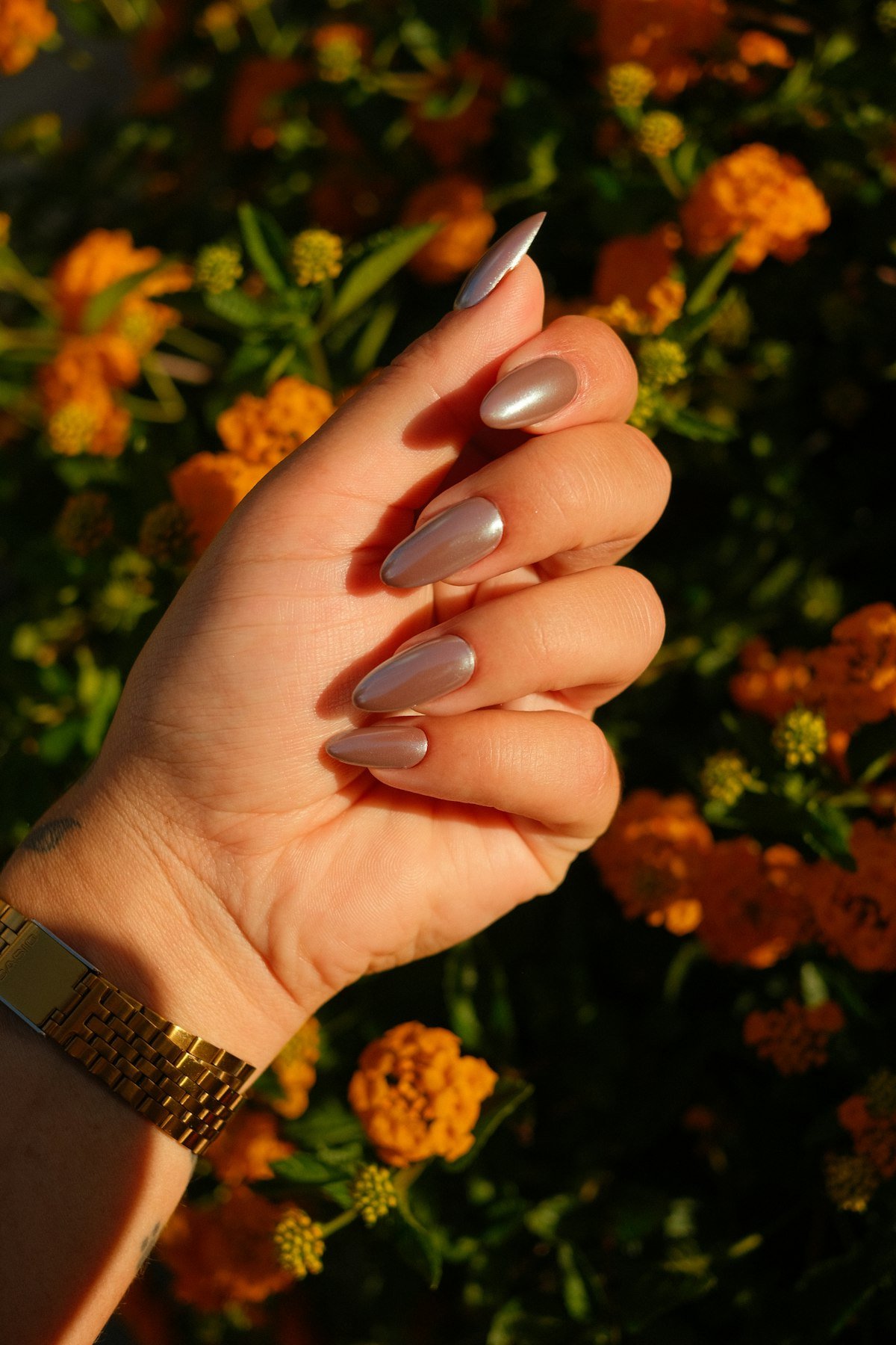 Nude nails holding orange autumn flowers